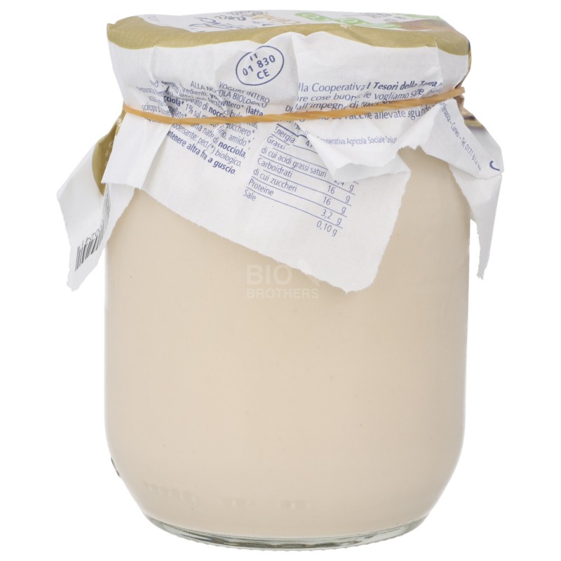 YOGURT INTERO NOCC. IGP 500G CASCIN
