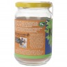 Cacao Magro in polvere Biologico in vaso