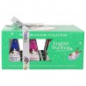 TEA BOX INFUSI VERDE 12PRISMI