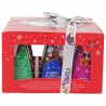 TEA BOX INFUSI ROSSO 12PRISMI BIO