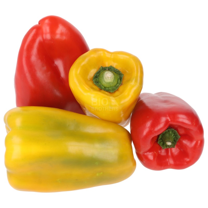 PEPERONE ROSSO/GIALLO (BIO)