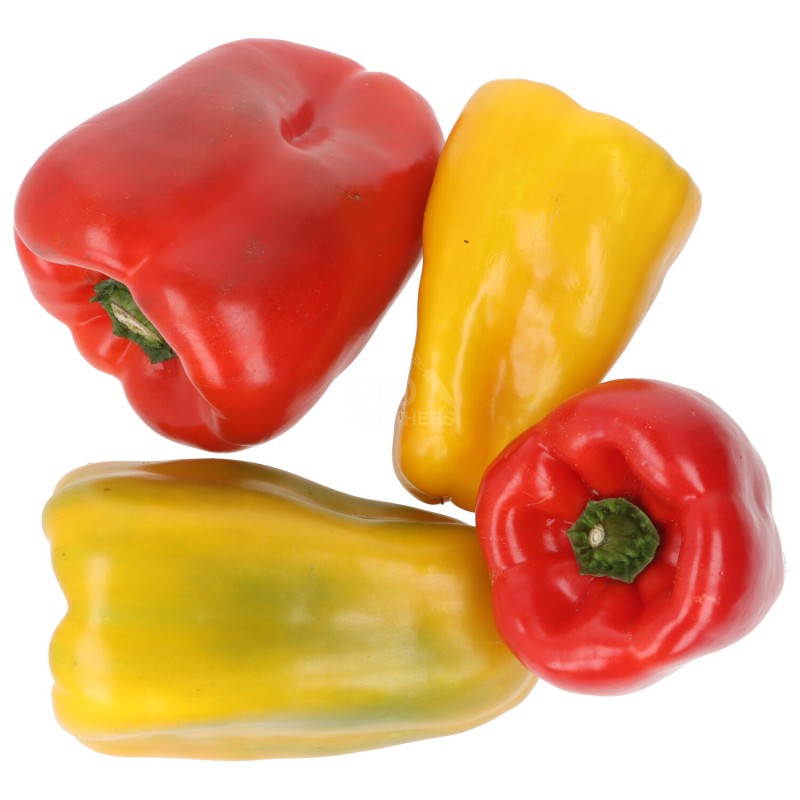 PEPERONE ROSSO/GIALLO (BIO)