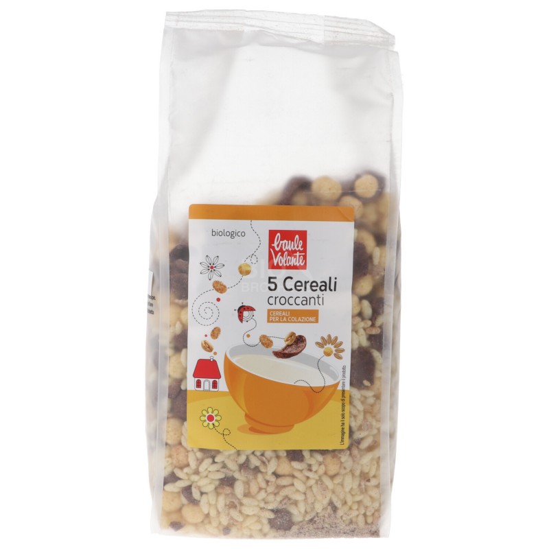 5 CEREALI CROCCANTI 300GR