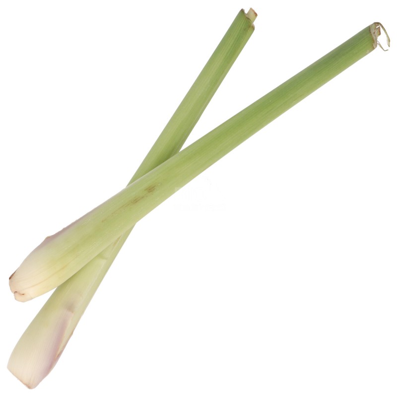 LEMONGRASS CITRONELLA FRESCO MZ (UGANDA) BIO