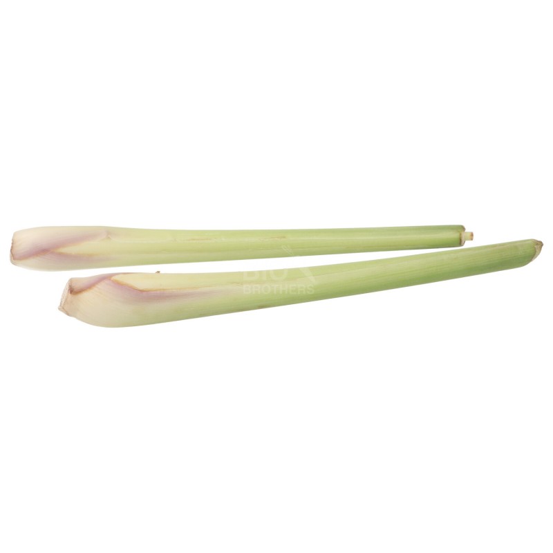 LEMONGRASS CITRONELLA FRESCO MZ (UGANDA) BIO