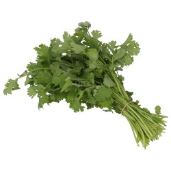 CORIANDOLO FRESCO MAZZETTO BIO 40G