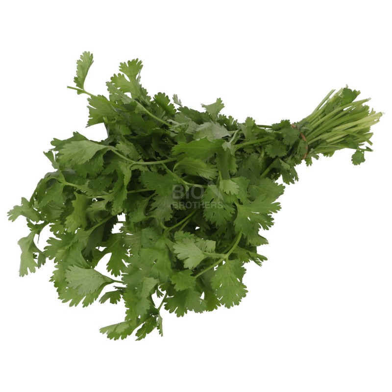 CORIANDOLO FRESCO MAZZETTO BIO 40G