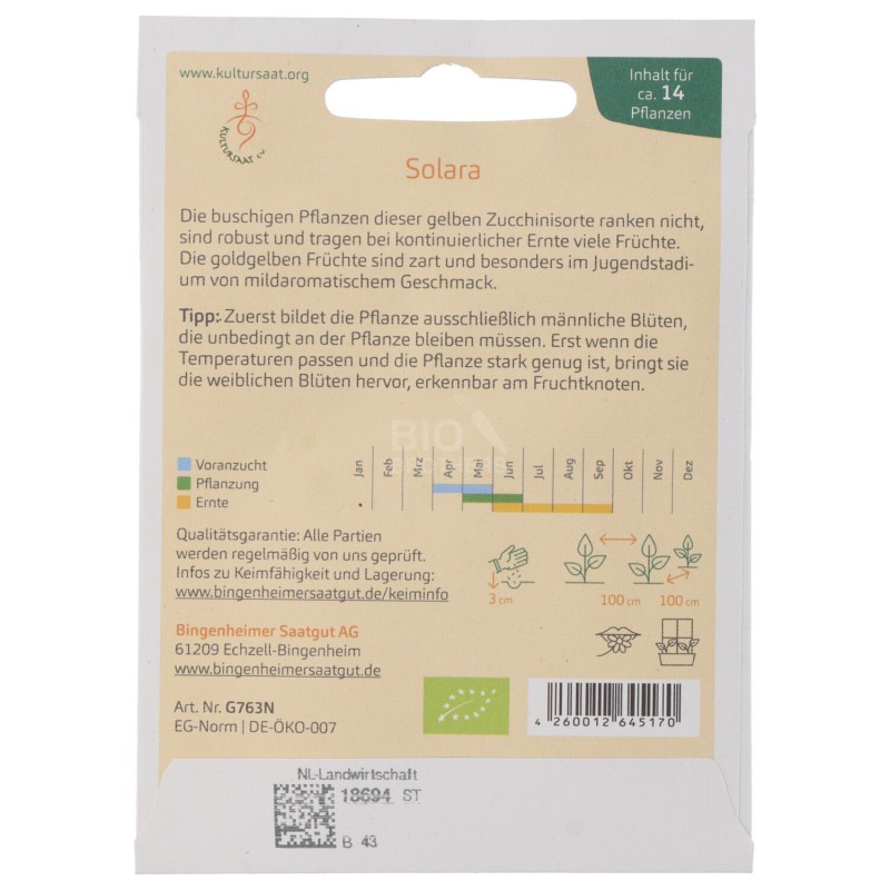 ZUCCHINO GIALLO SEMENTI DEMETER BUSTINA 14PZ 