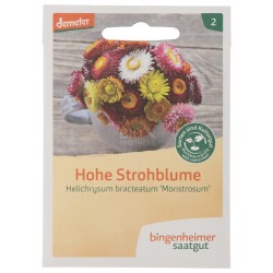 FIORI ELICRISO ALTO SEMENTI DEMETER
