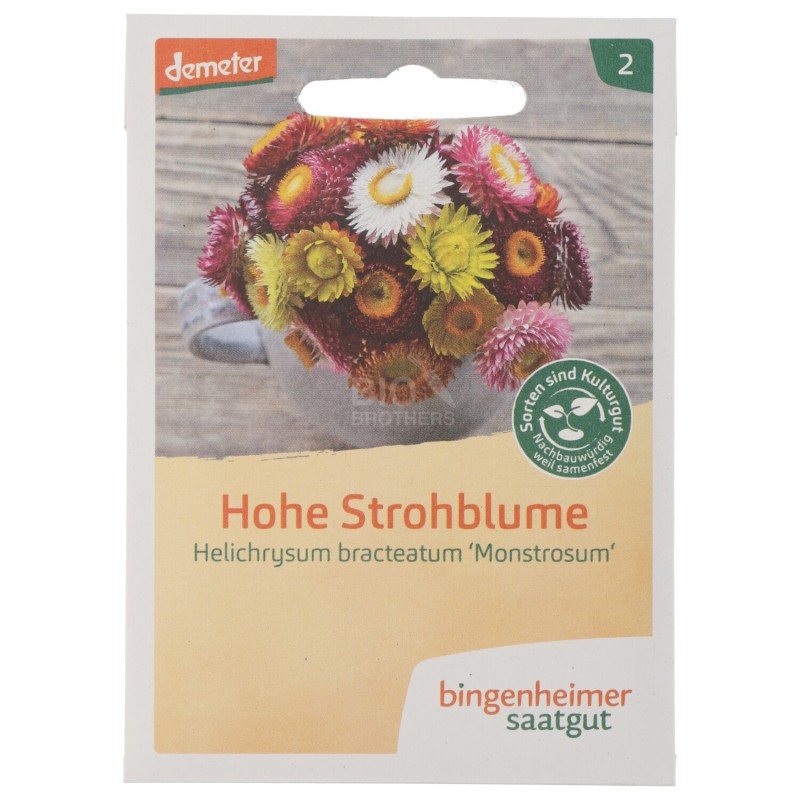 FIORI ELICRISO ALTO SEMENTI DEMETER