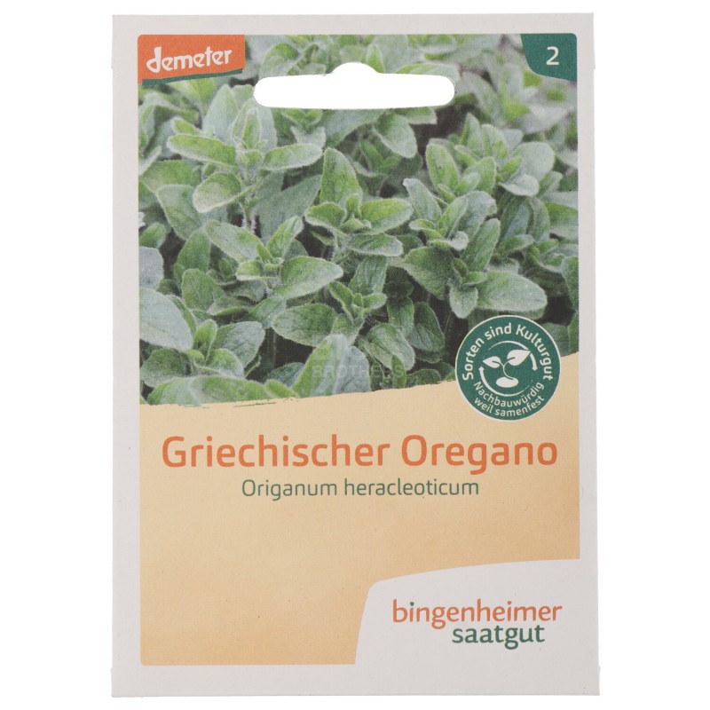 ORIGANO GRECO SEMENTI DEMETER PER ORTO