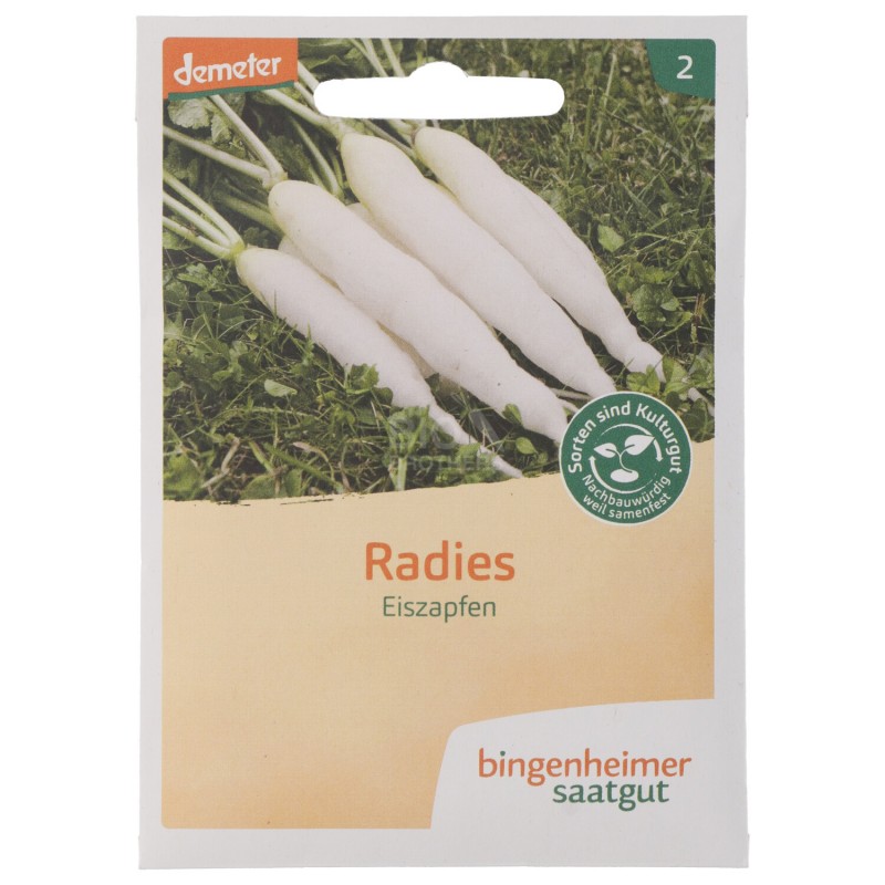 DAIKON SEMENTI DEMETER BUSTINA