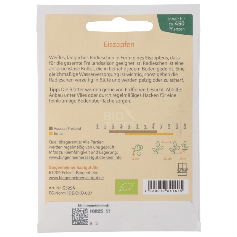 DAIKON SEMENTI DEMETER BUSTINA