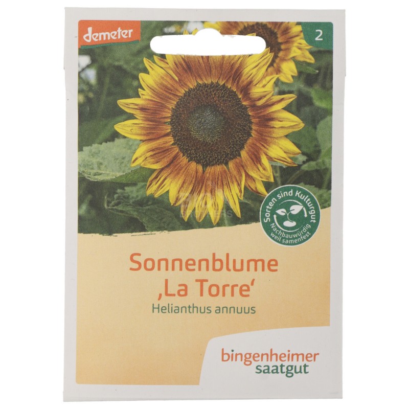 GIRASOLE LA TORRE FIORE SEMENTI DEMETER BUSTINA