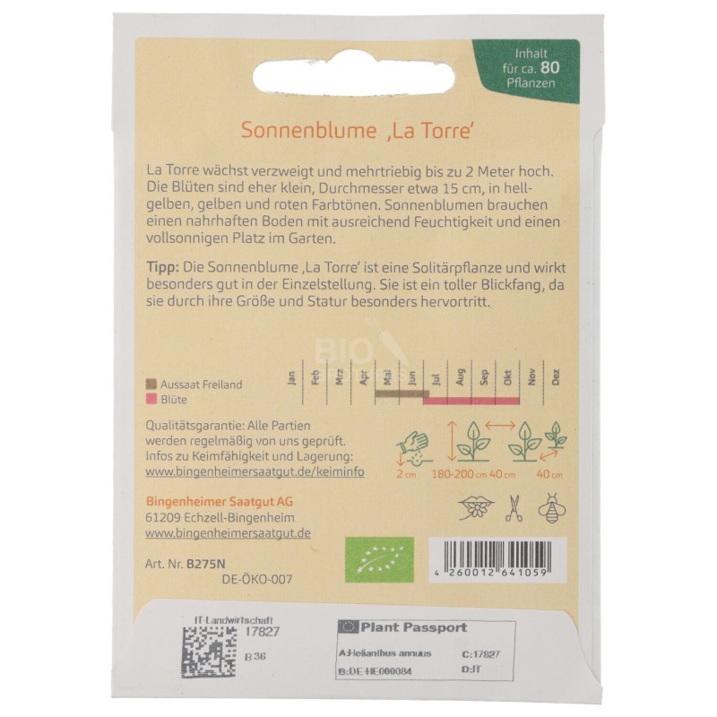 GIRASOLE LA TORRE FIORE SEMENTI DEMETER BUSTINA