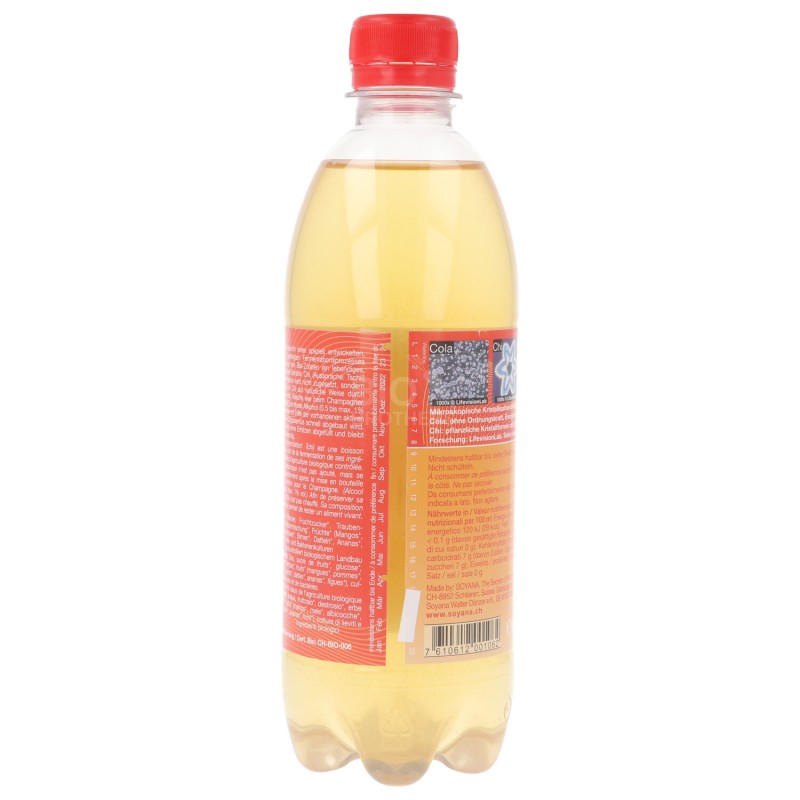 CHI BEVAND.FERMENT. FRUTTA BIO CBOTTIGLIETTA 500ML SOYANA