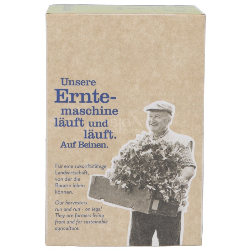 INFUSO ALCHEMILLA BIO FILTRI 18X1.2G SNN