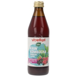 RAW KOMBUCHA RIBES+LAMPONE BIO 330ML