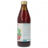 RAW KOMBUCHA RIBES+LAMPONE BIO 330ML