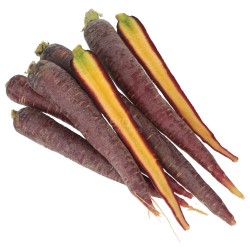 CAROTA VIOLA PURPLE ELITE (BIO) DE