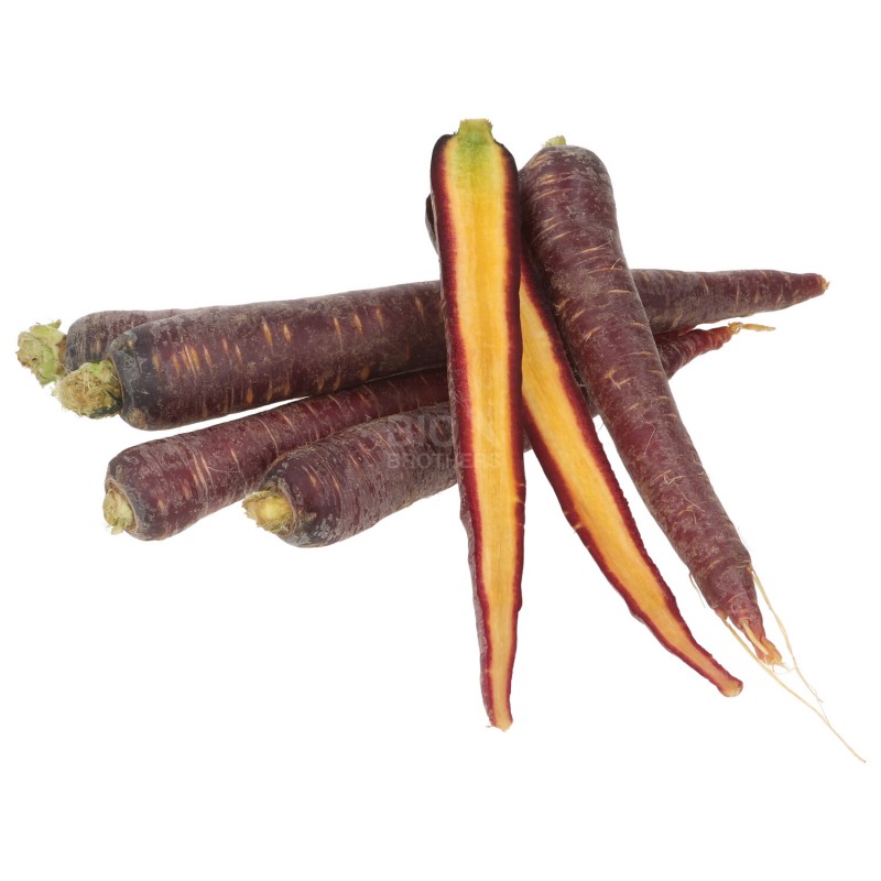 CAROTA VIOLA PURPLE ELITE (BIO) DE