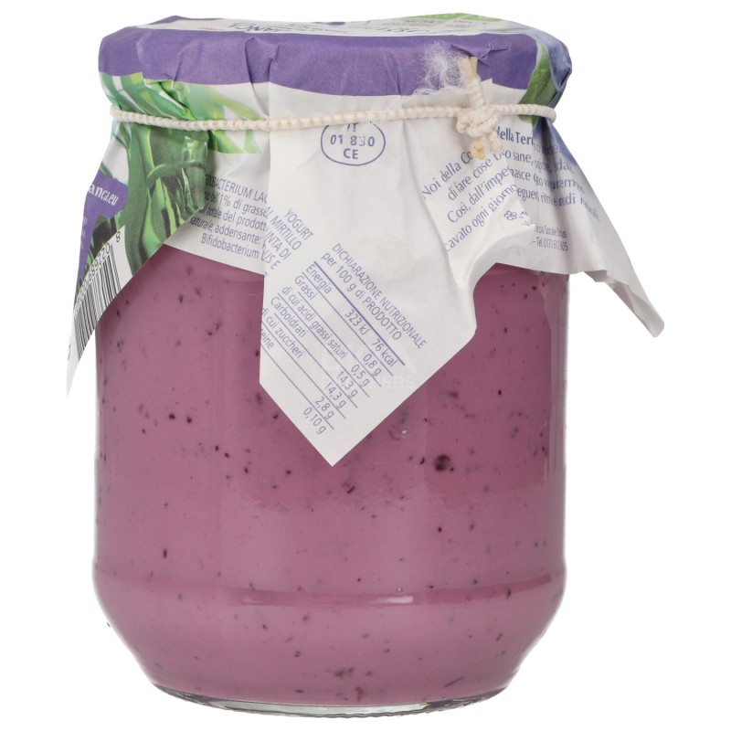 YOG. MAGRO MIRT. 500GR CASCINA B.