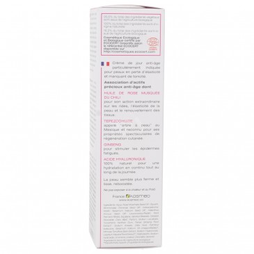 CREMA ENERGIA ANTI-AGE ROSA MOSQUETA 50ML ITC