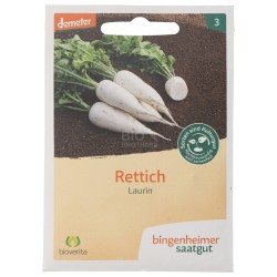 Daikon Bianco Laurin sementi biologiche per l'orto