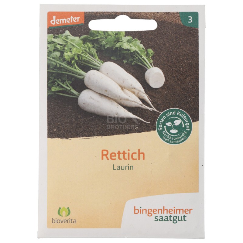 Daikon Bianco Laurin sementi biologiche per l'orto