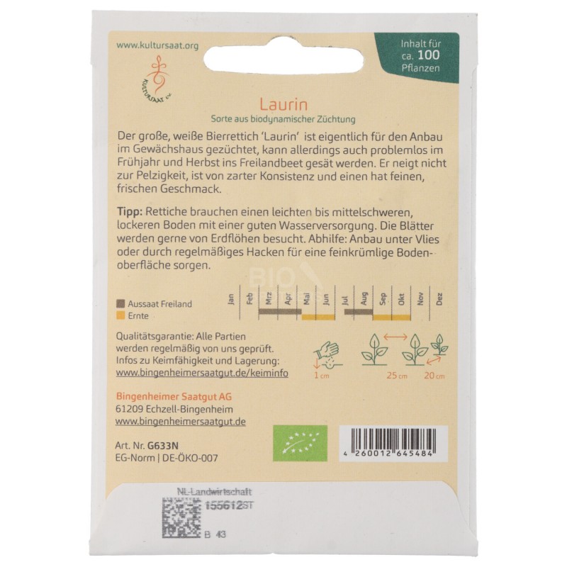 Daikon Bianco Laurin sementi biologiche per l'orto