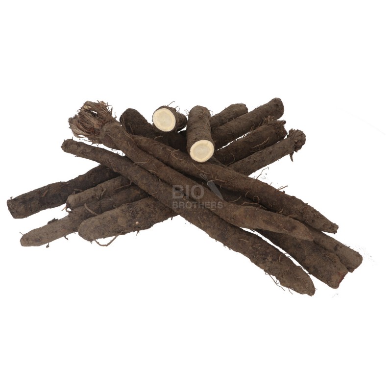 Scorza Nera biologica radice