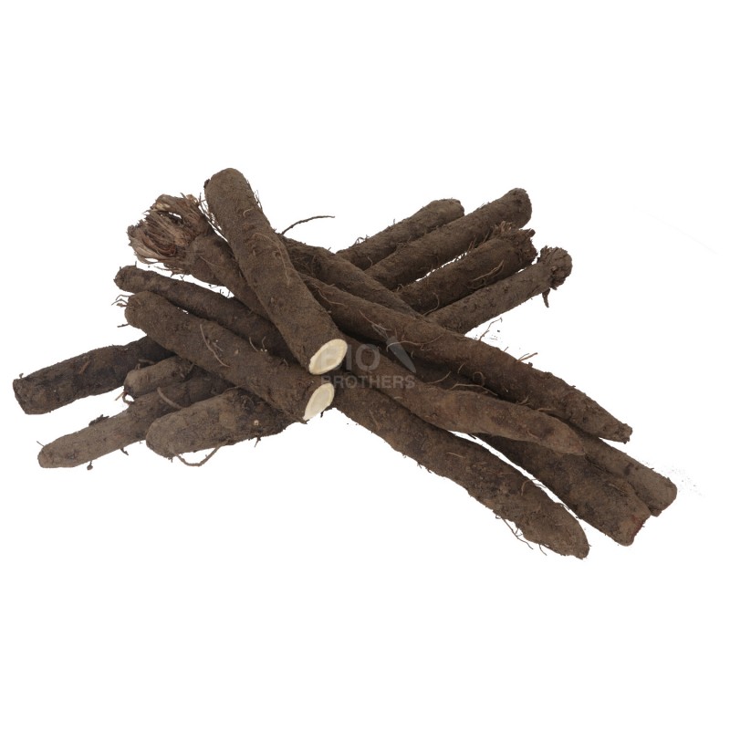 Scorza Nera biologica radice