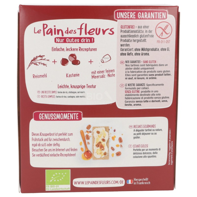 Tartine tostate alla castagna Bio tipo estruse