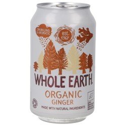 Ginger Bevanda bio frizzante in lattina