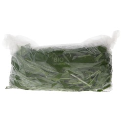 AGLIO ORSINO RINFUSA (SELVATICO-BIO) DE