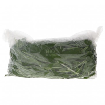 AGLIO ORSINO RINFUSA (SELVATICO-BIO) DE AGLIO ORSINO RINFUSA (SELVATICO-BIO) DE