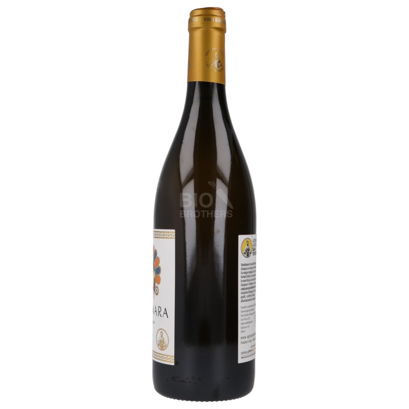 VINO FALANGHINA ROCCAMON.IGP BIO 750ML