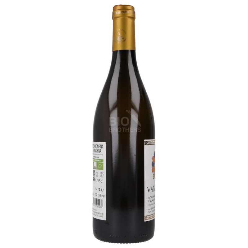 VINO FALANGHINA ROCCAMON.IGP BIO 750ML
