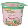 Sorbetto ai Lamponi Biodinamico in coppetta