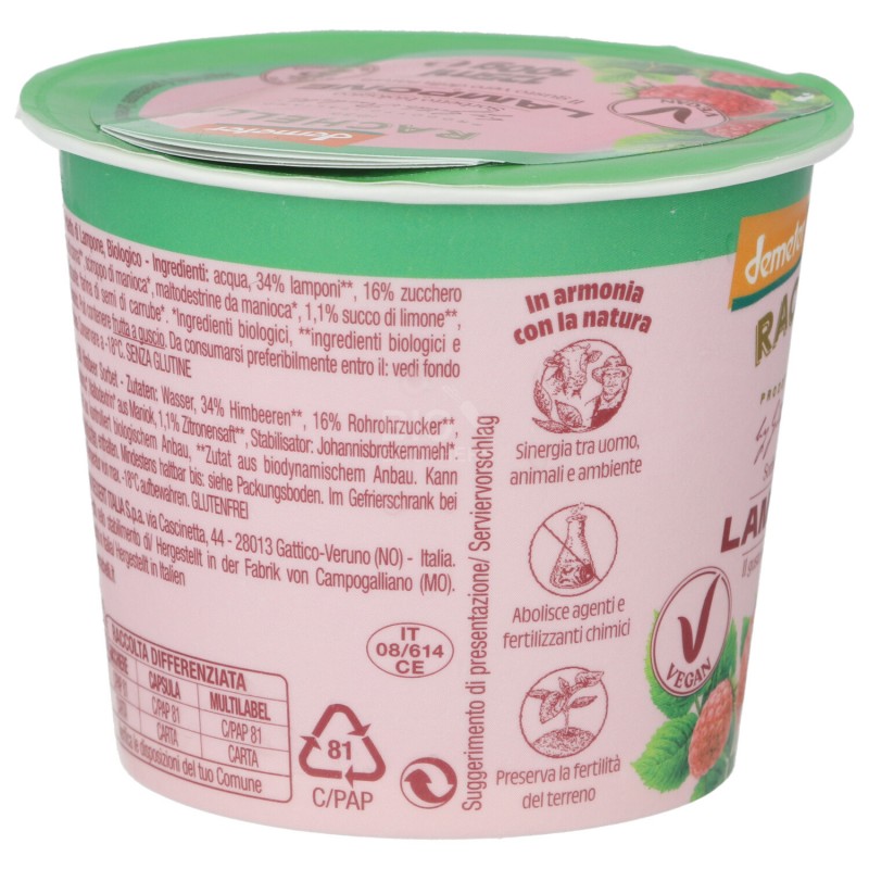 Sorbetto ai Lamponi Biodinamico in coppetta