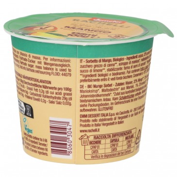 Sorbetto al Mango Biodinamico in coppetta Sorbetto al Mango Biodinamico in coppetta