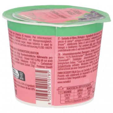 Sorbetto Ribes Nero biodinamico in coppetta Sorbetto Ribes Nero biodinamico in coppetta