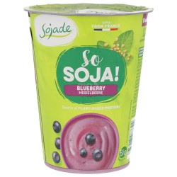 Dessert di  Soia al Mirtillo