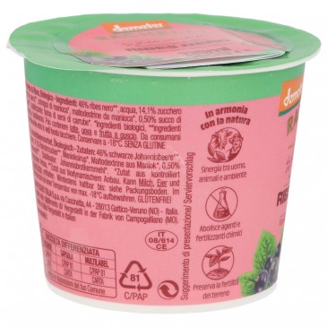 Sorbetto Ribes Nero biodinamico in coppetta Sorbetto Ribes Nero biodinamico in coppetta