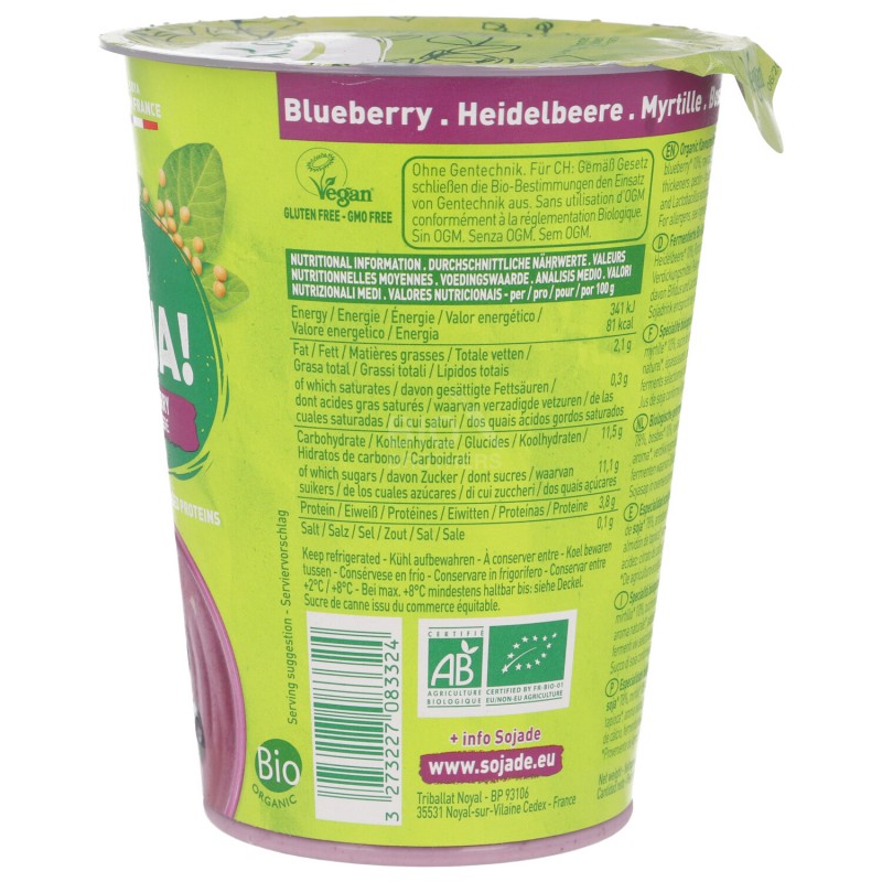 Dessert di  Soia al Mirtillo