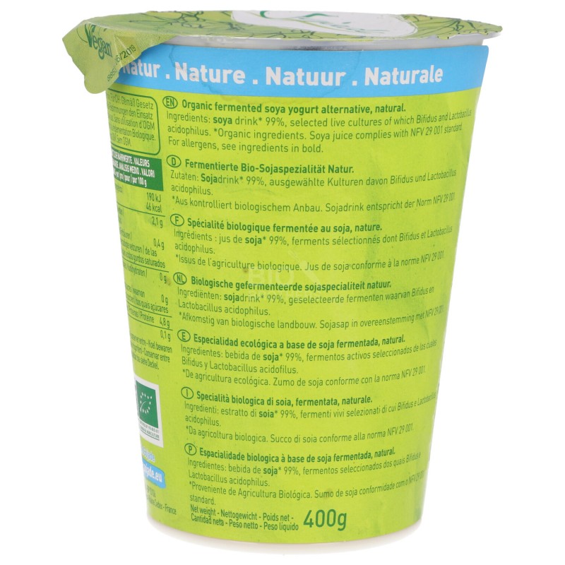 Dessert di soia  al naturale