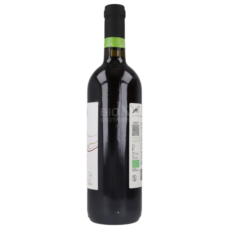 Vino Merlot Trevenezie I.G.T. Biologico