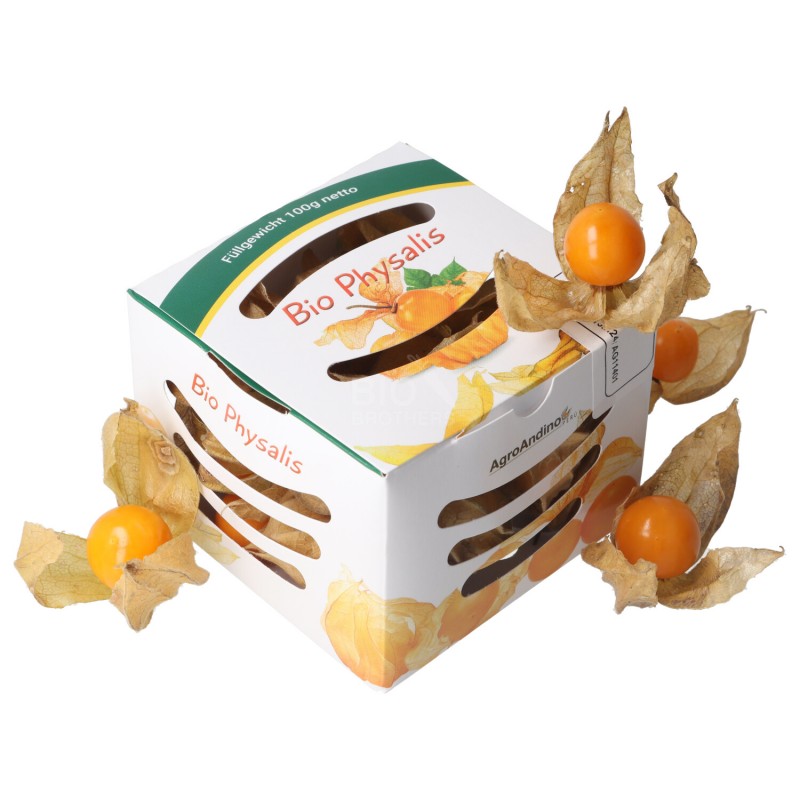 PHYSALIS/ALCHECHENGI BIO 100GR PERU'