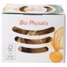 Physalis Alchechengi biologici freschi