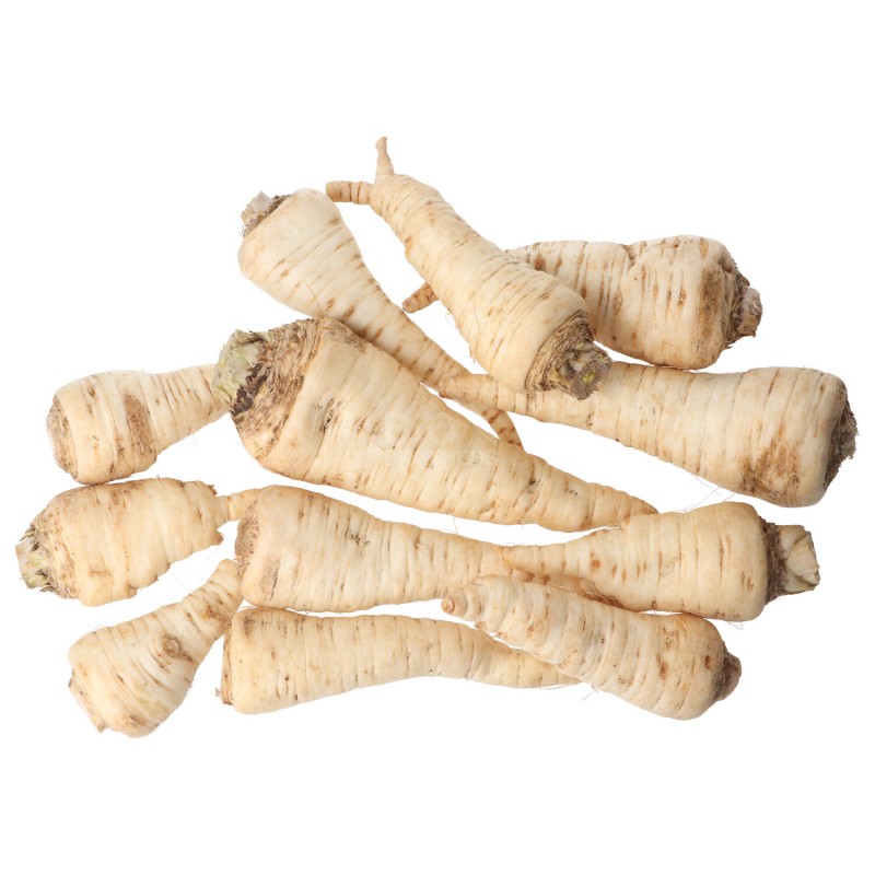 PREZZEMOLO RADICE (DEMETER) DE